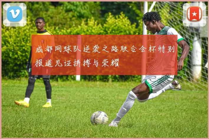 成都网球队逆袭之路联合会杯特别报道见证拼搏与荣耀