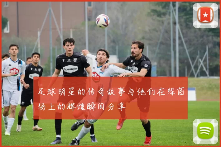 足球明星的传奇故事与他们在绿茵场上的辉煌瞬间分享