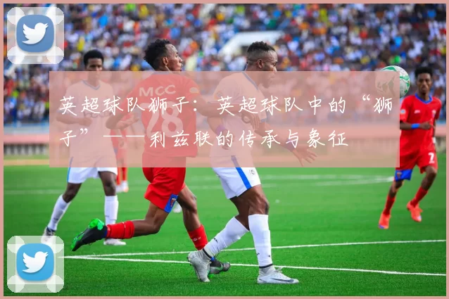 英超球队狮子：英超球队中的“狮子”——利兹联的传承与象征