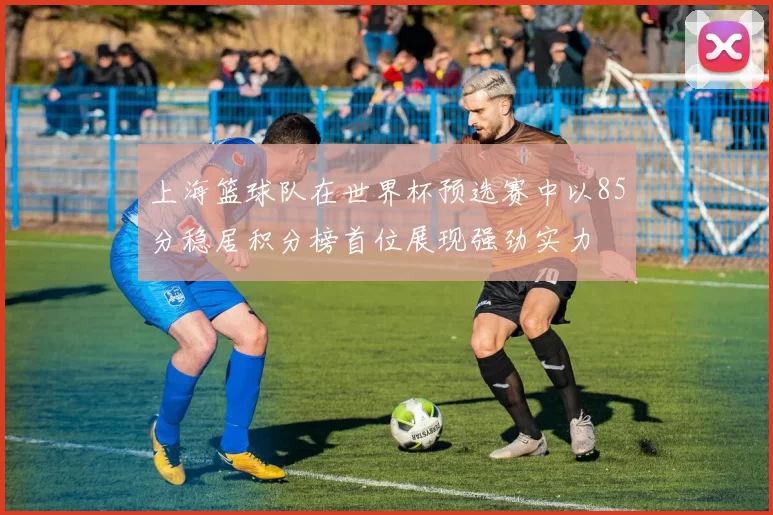 上海篮球队在世界杯预选赛中以85分稳居积分榜首位展现强劲实力