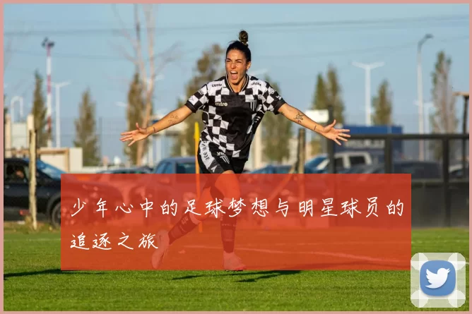 少年心中的足球梦想与明星球员的追逐之旅