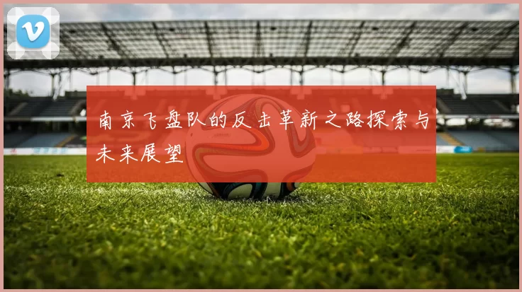 南京飞盘队的反击革新之路探索与未来展望
