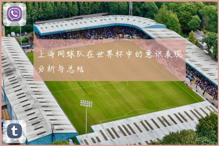 上海网球队在世界杯中的意识表现分析与总结