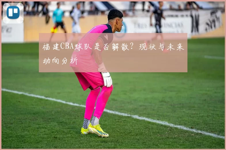 福建CBA球队是否解散？现状与未来动向分析
