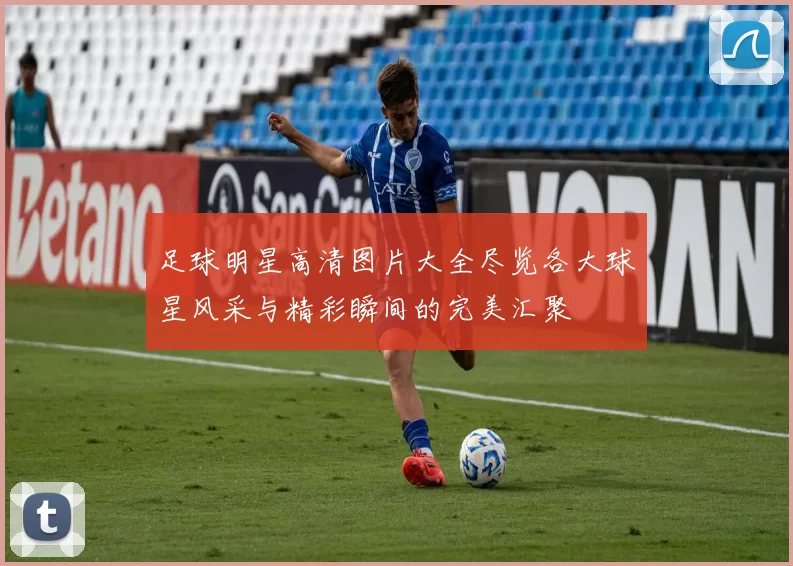 足球明星高清图片大全尽览各大球星风采与精彩瞬间的完美汇聚