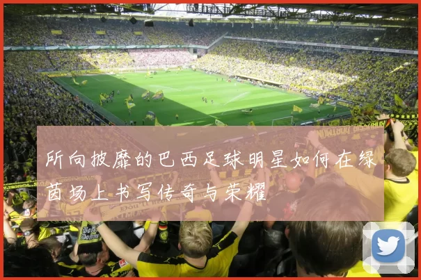 所向披靡的巴西足球明星如何在绿茵场上书写传奇与荣耀
