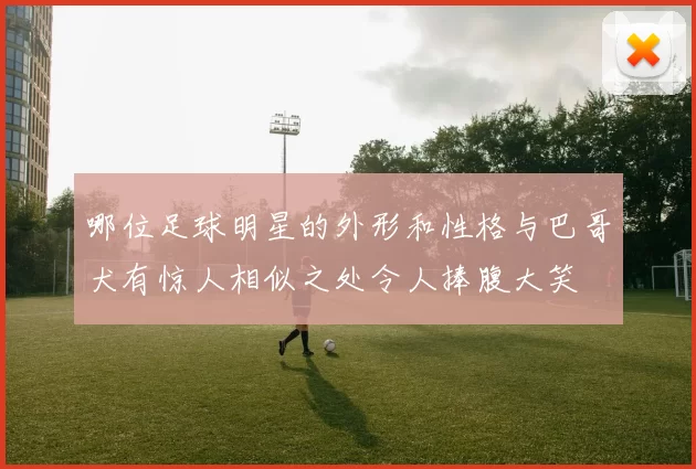 哪位足球明星的外形和性格与巴哥犬有惊人相似之处令人捧腹大笑