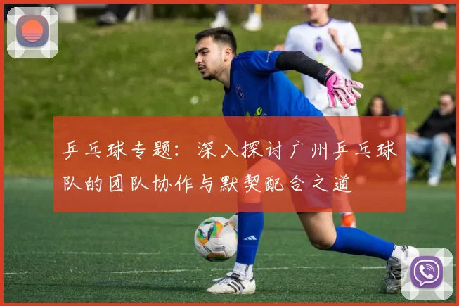 乒乓球专题：深入探讨广州乒乓球队的团队协作与默契配合之道
