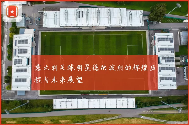 意大利足球明星德纳波利的辉煌历程与未来展望