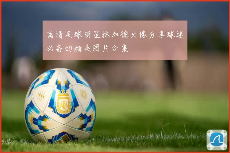 高清足球明星林加德头像分享球迷必备的精美图片合集