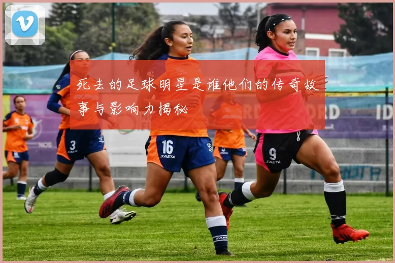 死去的足球明星是谁他们的传奇故事与影响力揭秘