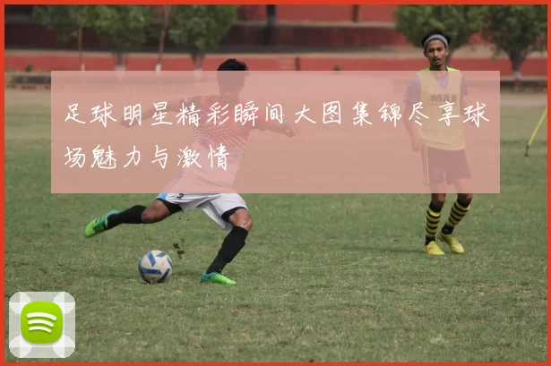 足球明星精彩瞬间大图集锦尽享球场魅力与激情