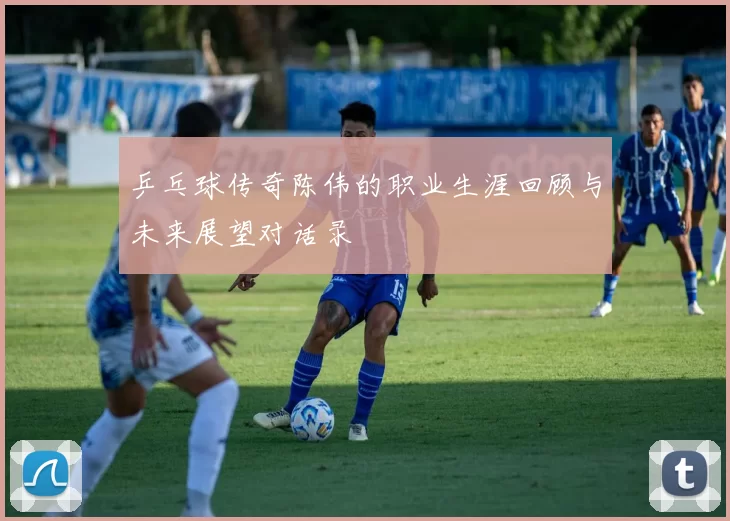 乒乓球传奇陈伟的职业生涯回顾与未来展望对话录