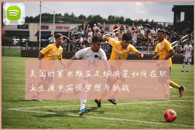美国的塞尔维亚足球明星如何在职业生涯中实现梦想与挑战