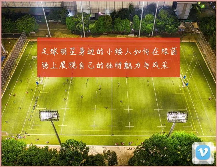 足球明星身边的小矮人如何在绿茵场上展现自己的独特魅力与风采