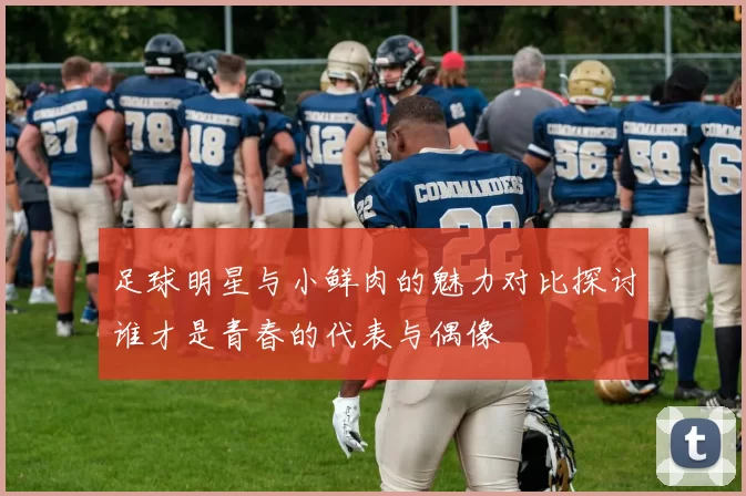 足球明星与小鲜肉的魅力对比探讨谁才是青春的代表与偶像