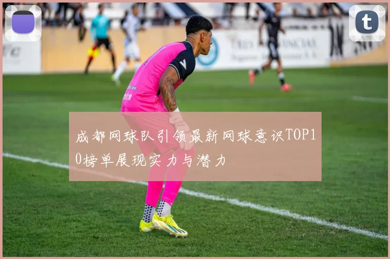 成都网球队引领最新网球意识TOP10榜单展现实力与潜力