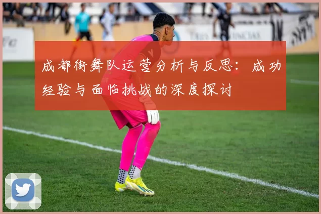 成都街舞队运营分析与反思：成功经验与面临挑战的深度探讨