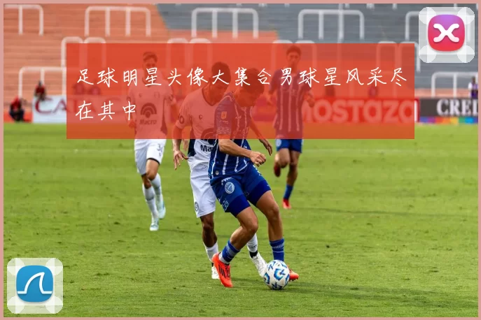 足球明星头像大集合男球星风采尽在其中