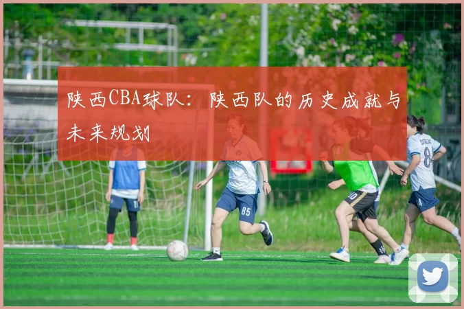陕西CBA球队：陕西队的历史成就与未来规划
