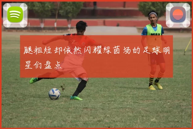 腿粗短却依然闪耀绿茵场的足球明星们盘点