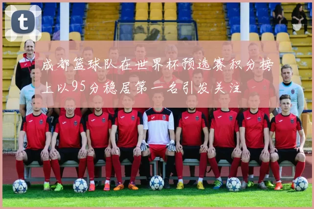 成都篮球队在世界杯预选赛积分榜上以95分稳居第一名引发关注