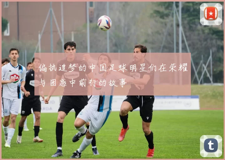 偏执追梦的中国足球明星们在荣耀与困惑中前行的故事
