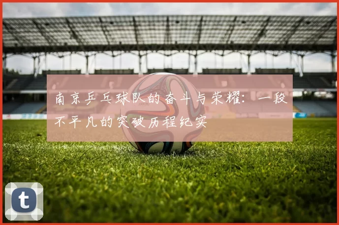 南京乒乓球队的奋斗与荣耀：一段不平凡的突破历程纪实