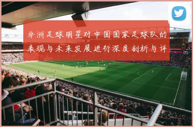 非洲足球明星对中国国家足球队的表现与未来发展进行深度剖析与评价