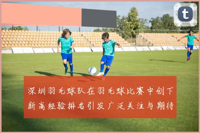 深圳羽毛球队在羽毛球比赛中创下新高经验排名引发广泛关注与期待