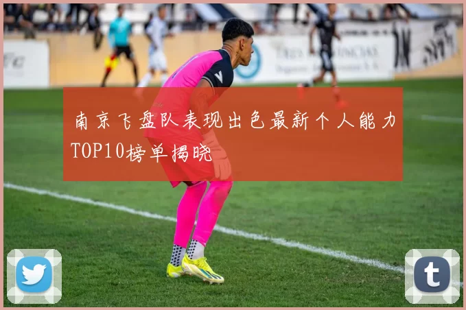 南京飞盘队表现出色最新个人能力TOP10榜单揭晓