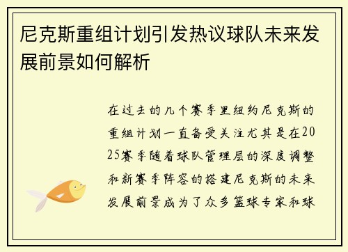 尼克斯重组计划引发热议球队未来发展前景如何解析 尼克斯重组计划引发热议球队未来发展前景如何解析