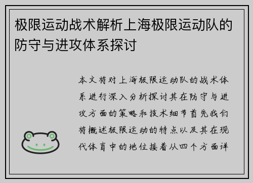 极限运动战术解析上海极限运动队的防守与进攻体系探讨
